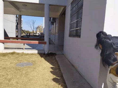 爬窗子吃瓜,揭秘瓜田里的秘密生活